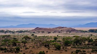 7 días en Tanzania