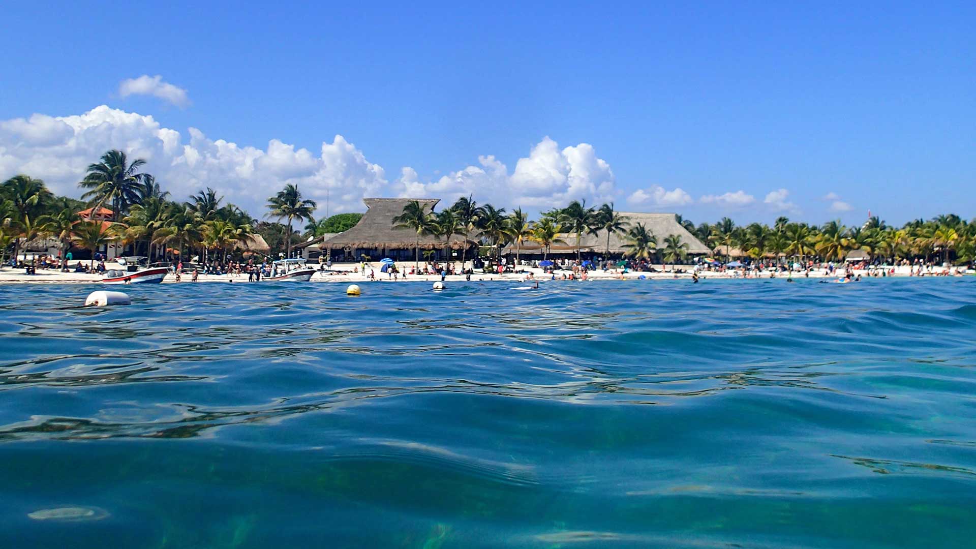 nado-con-tortugas-en-akumal-underwater-world-cancun