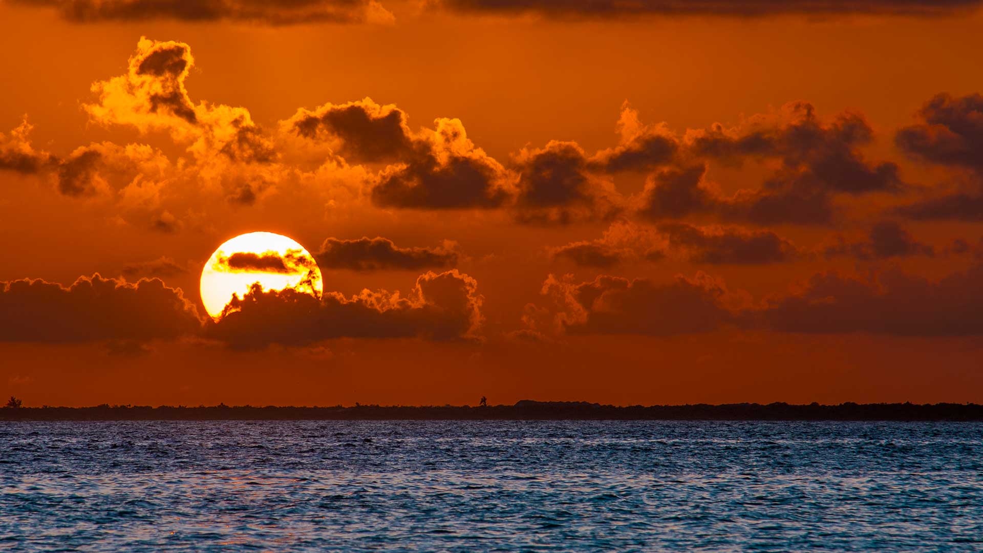 isla-mujeres-en-catamaran-plus
