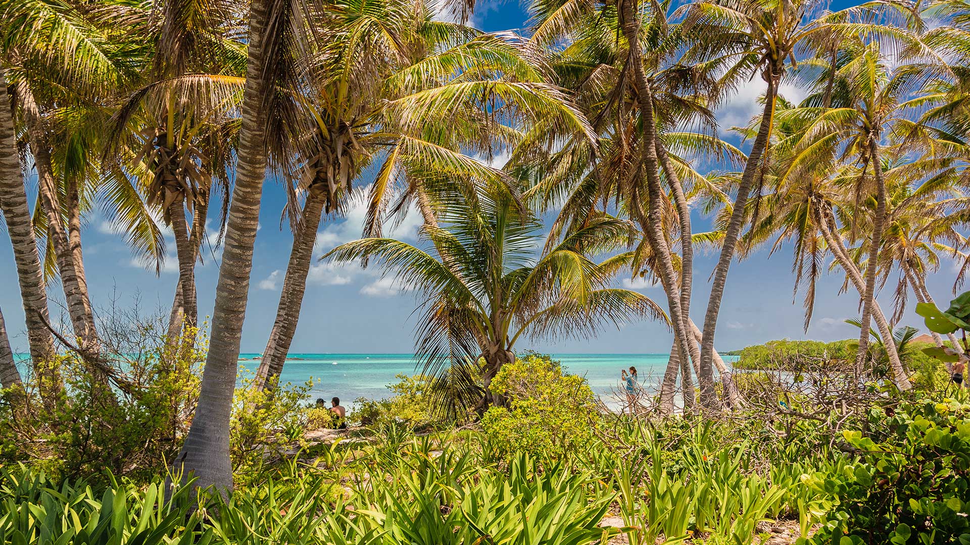 isla-contoy