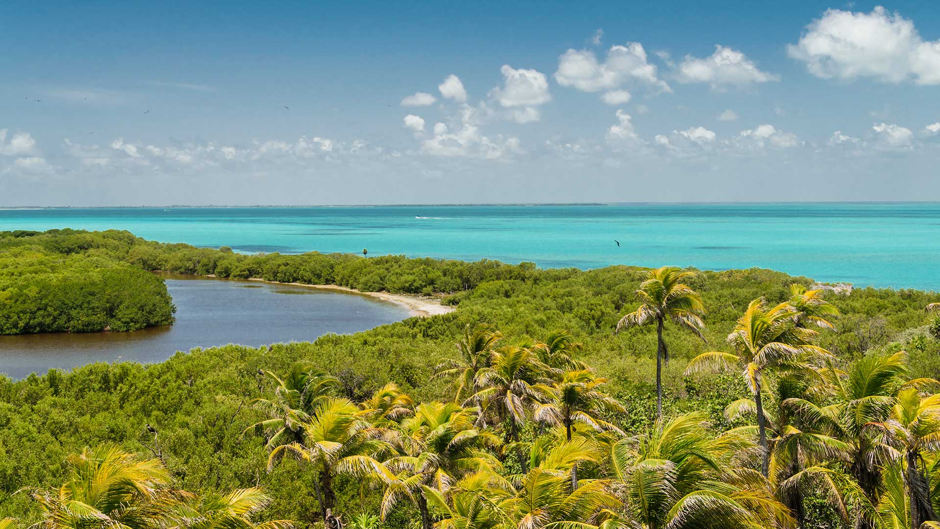 isla-contoy