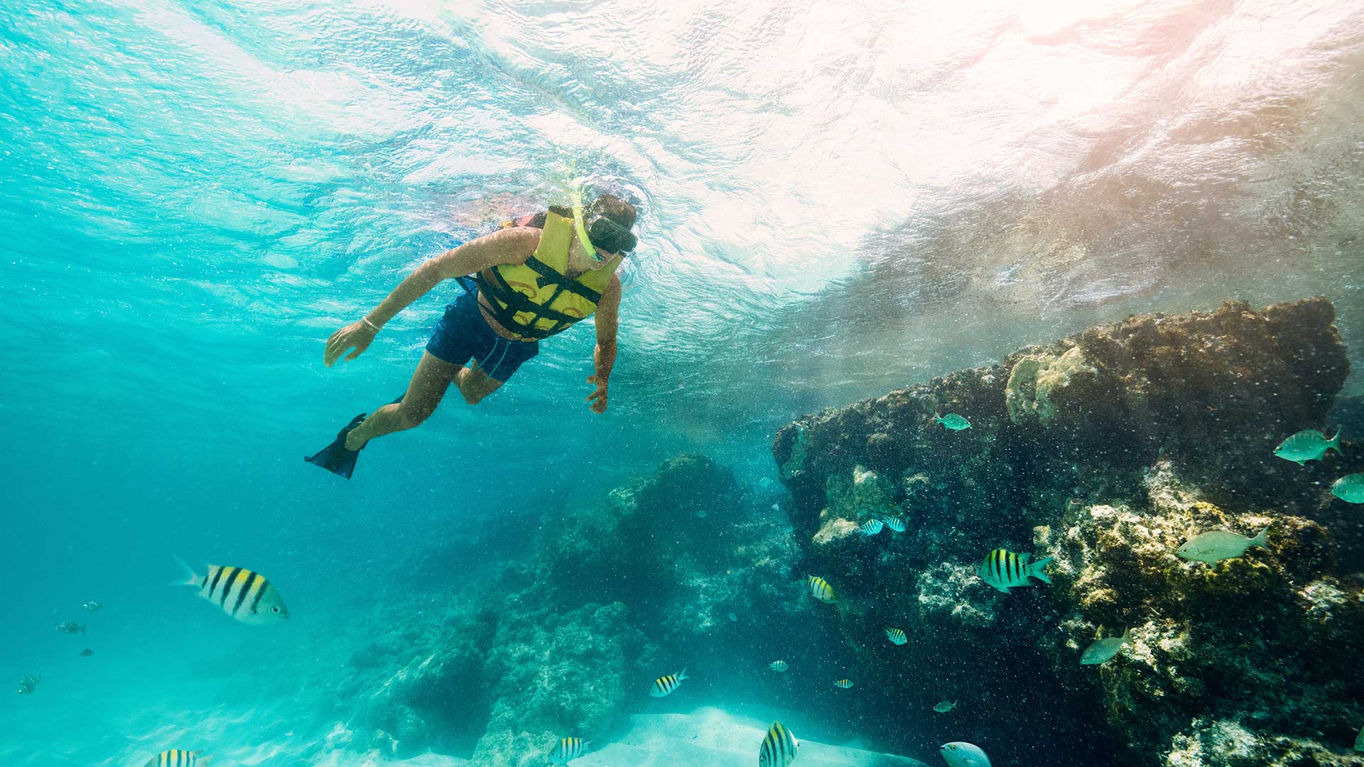 royal-garrafon-swim-adventure