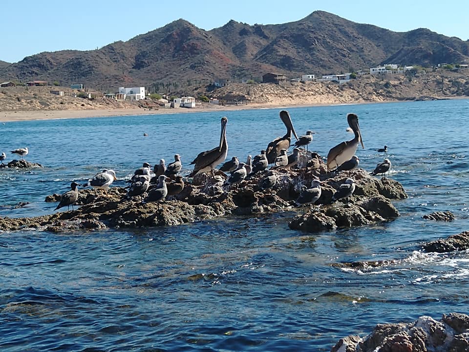 playa-el-colorado