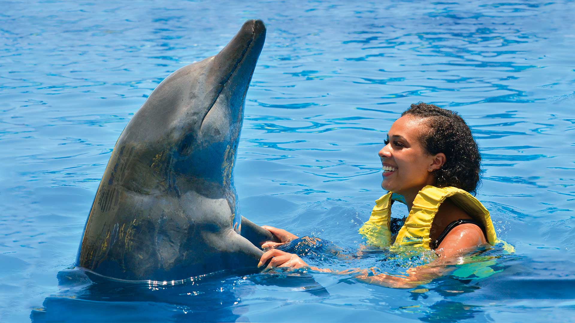 dolphin-cat-isla-swim-adventure-isla-mujeres