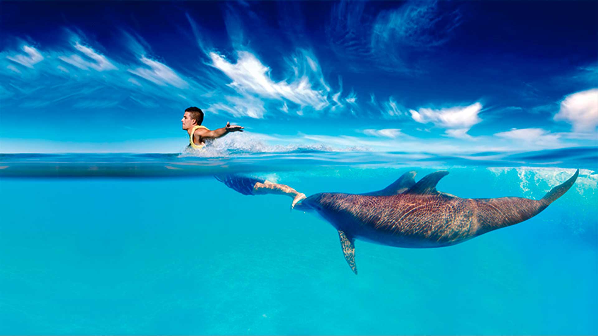 dolphin-cat-isla-encuentro-isla-mujeres