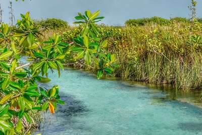 Quintana Roo