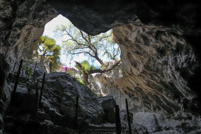 Hidalgo